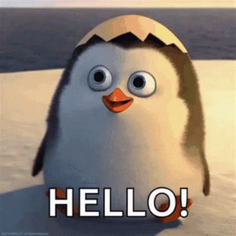 hello friend gif